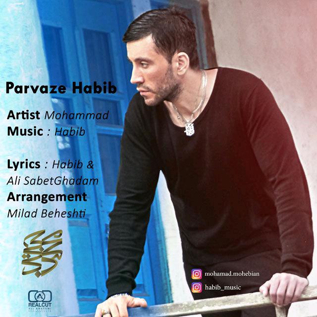 Mohammad Mohebian - Parvaze Habib