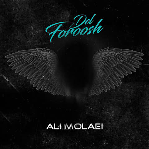 Ali-Molaei-Del-foroosh