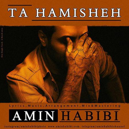 hs-Amin-Habibi-Ta-Hamisheh