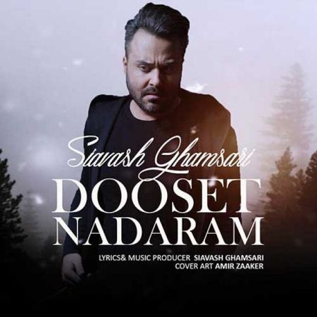 Siavash-Ghamsari-Dooset-Nadaram