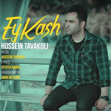 Hossein-Tavakoli-Ey-Kash