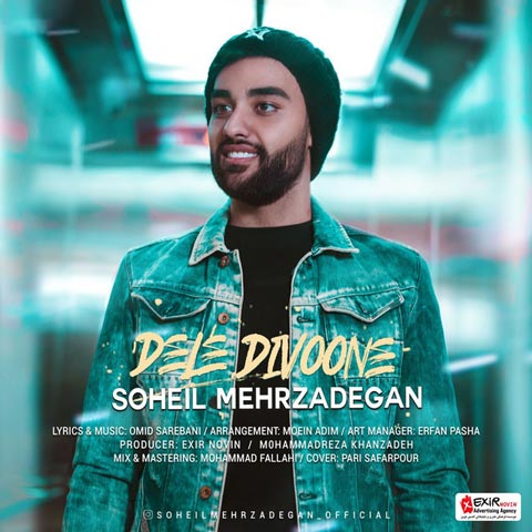 Soheil Mehrzadegan - Dele Divoone