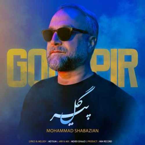 دانلود آهنگ جدید محمد شابازیان به نام گل پیر