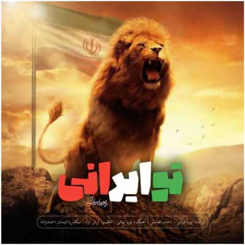 دانلود آهنگ جدید پویا بیاتی به نام تو ایرانی