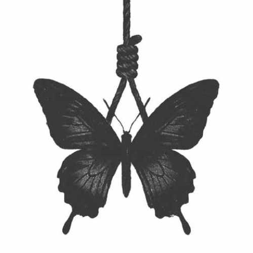 دانلود آهنگ جدید هیپهاپولوژیست به نام بارون پیمود