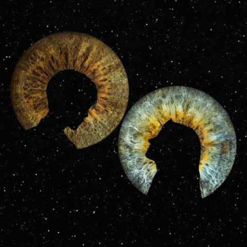 دانلود آهنگ جدید مشکی به نام الهه ی رپ دانلود آهنگ جدید مشکی به نام الهه ی رپ