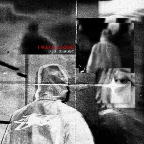 دانلود آهنگ جدید بیگ شگی به نام I Walk Alone دانلود آهنگ جدید بیگ شگی به نام I Walk Alone