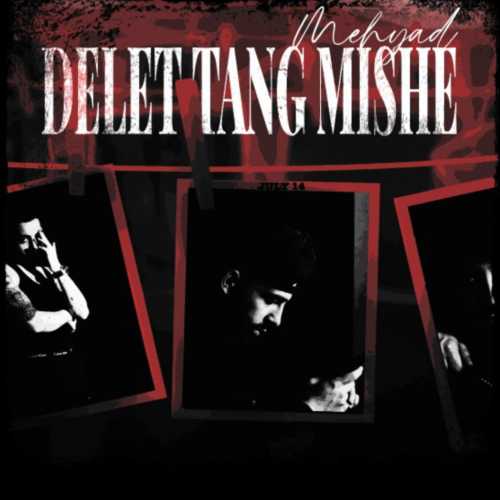 دانلود آهنگ جدید مهیاد به نام دلت تنگ میشه