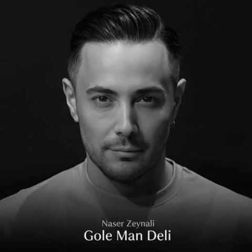 دانلود آهنگ جدید ناصر زینلی به نام گل من