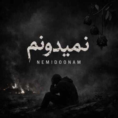 دانلود آهنگ جدید تاکسیک به نام نمیدونم دانلود آهنگ جدید تاکسیک به نام نمیدونم