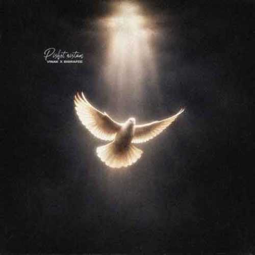 دانلود آهنگ جدید ویناک به نام پیشت نیستم