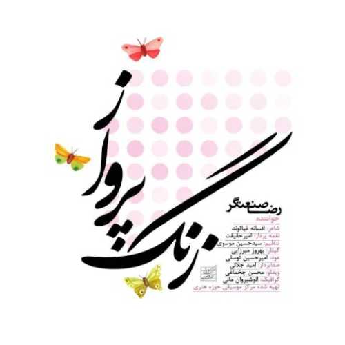 دانلود آهنگ جدید غلامرضا صنعتگر به نام زنگ پرواز دانلود آهنگ جدید غلامرضا صنعتگر به نام زنگ پرواز
