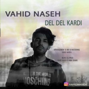 دانلود آهنگ جدید وحید ناصح به نام دل دل کردی