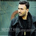 دانلود آهنگ جدید Necdet Kaya به نام Sensiz Yapamam