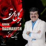 دانلود آهنگ جدید بابک رادمنش به نام جز گل روی تو