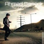 دانلود آهنگ جدید احمد سعیدی به نام حالم خوبه