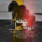 دانلود آهنگ جدید امیر نوسان و فرهاد استای به نام دیوونه عاشقتم