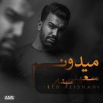 دانلود آهنگ جدید سعید علیشاهی به نام میدونم