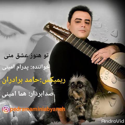 دانلود رمیکس جدید پدرام امینی به نام تو هنوز عشق منی