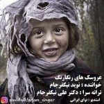 دانلود آهنگ جدید نوید نیکفرجام به نام عروسک های رنگارنگ