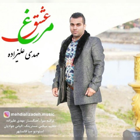 دانلود آهنگ جدید مهدی علیزاده به نام مرغ عشق