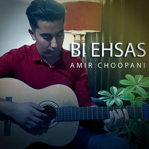 Amir Choopani - Bi Ehsas