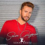 دانلود آهنگ جدید Selim Gulgoren به نام Sokak Kedisi