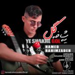 دانلود آهنگ جدید حامد رحیم زاده به نام یه شاخه گل
