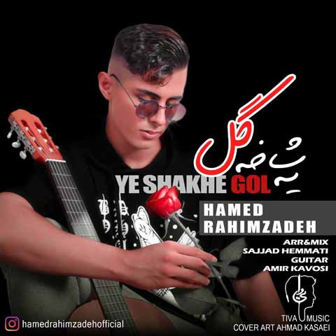 دانلود آهنگ جدید حامد رحیم زاده به نام یه شاخه گل