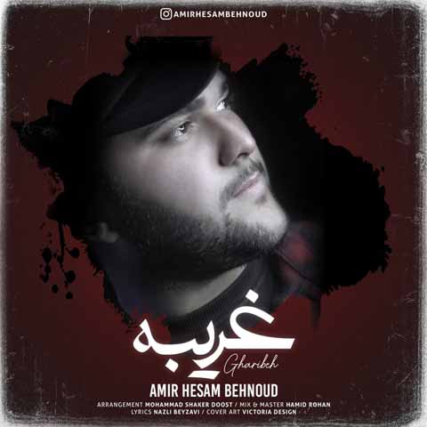 دانلود آهنگ جدید امیرحسام بهنود به نام غریبه