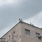 دانلود آهنگ جدید پوری به نام شوتیا