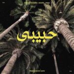 دانلود آهنگ جدید چرسی به نام حبیبی