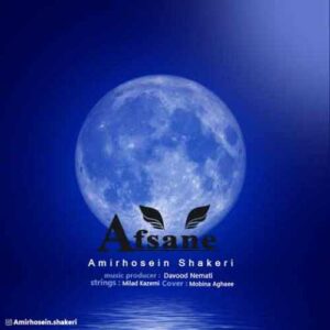 دانلود آهنگ جدید امیر حسین شاکری به نام افسانه