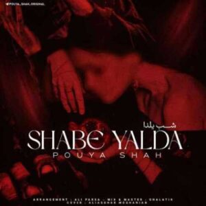 دانلود آهنگ جدید  پویاشاه به نام شب یلدا