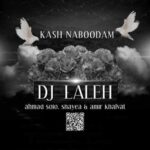 دانلود آهنگ جدید دی جی لاله به نام کاش نبودم
