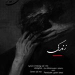 دانلود آهنگ جدید علی میر به نام زندگی