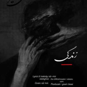 دانلود آهنگ جدید علی میر به نام زندگی