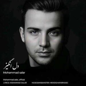 دانلود آهنگ جدید محمد سالار به نام دل انگیز