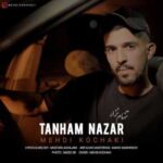 دانلود آهنگ جدید مهدی کوچکی به نام تنهام نزار