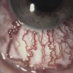 دانلود آهنگ جدید گوچی فلیم به نام فاین شیت