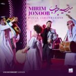 دانلود آهنگ جدید بابک جهانبخش به نام میریم جنوب (اجرای زنده)
