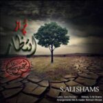 دانلود آهنگ جدید سید علی شمس به نام پر از انتظار
