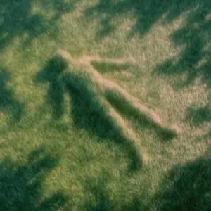 دانلود آهنگ جدید آرون و گوچی فلیم به نام پاپولار