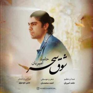 دانلود آهنگ جدید حامد امیریان به نام شوق سحر