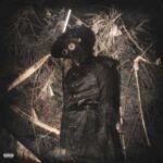 دانلود آهنگ جدید سیوهش به نام Haunted Flow