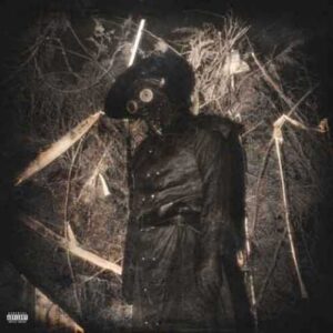 دانلود آهنگ جدید سیوهش به نام Haunted Flow