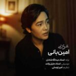 دانلود آهنگ جدید امین بانی به نام وقتی عاشق شوی