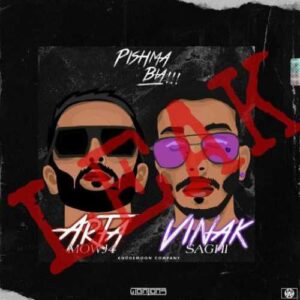 دانلود آهنگ جدید آرتا و ویناک به نام پیشما نیا
