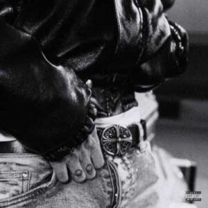 دانلود آهنگ جدید سیا به نام Dont Fire