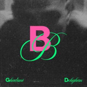 دانلود آهنگ جدید فرزاد قدیمی به نام بی بی